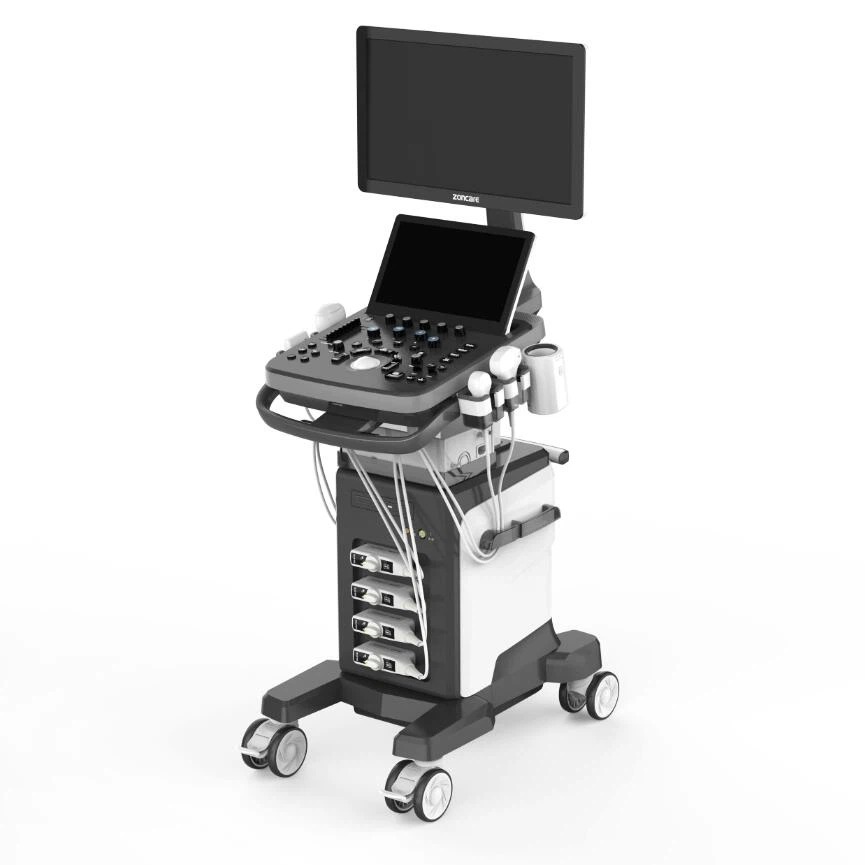Viv 40 with 4D Probe and 4D Software