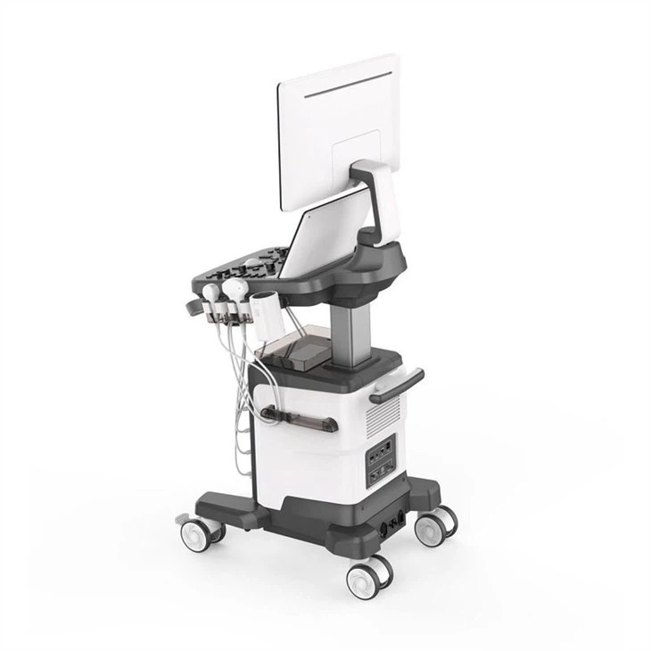 Viv 40 with 4D Probe and 4D Software
